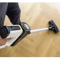 Пылесос вертикальный Karcher VC 6 Cordless ourFamily Duo