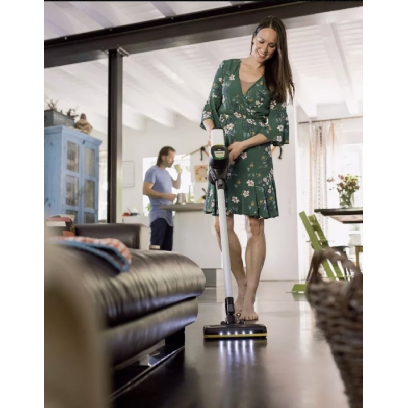 Пылесос вертикальный Karcher VC 6 Cordless ourFamily Pet