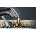 Моющий пылесос Tefal Clean It IZ7010F0